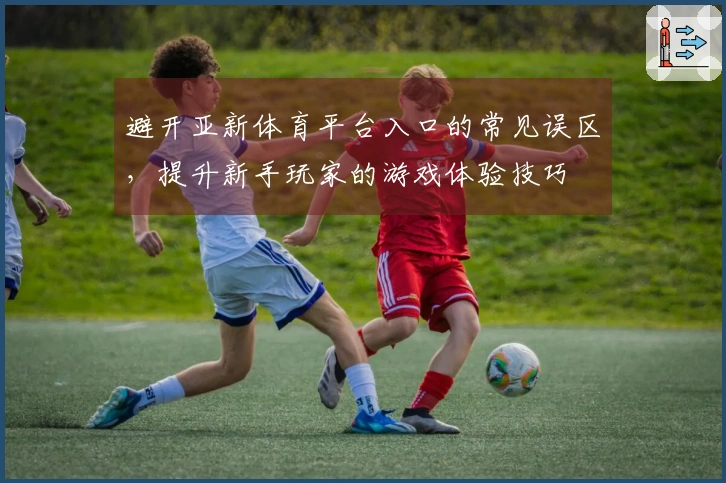 避开亚新体育平台入口的常见误区，提升新手玩家的游戏体验技巧