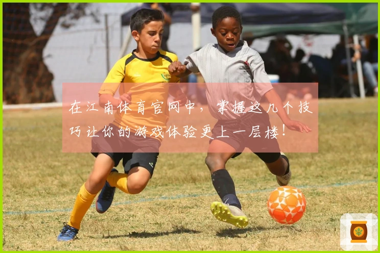 在江南体育官网中，掌握这几个技巧让你的游戏体验更上一层楼！
